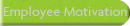 Employee Motivation