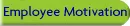 Employee Motivation